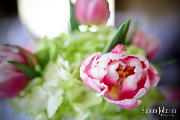 Best Nottoway Plantation Wedding photographer - Sandra Johnson (SJFoto.com)